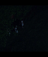Chilling_Adventures_of_Sabrina_S01E04_1080p__6925.jpg