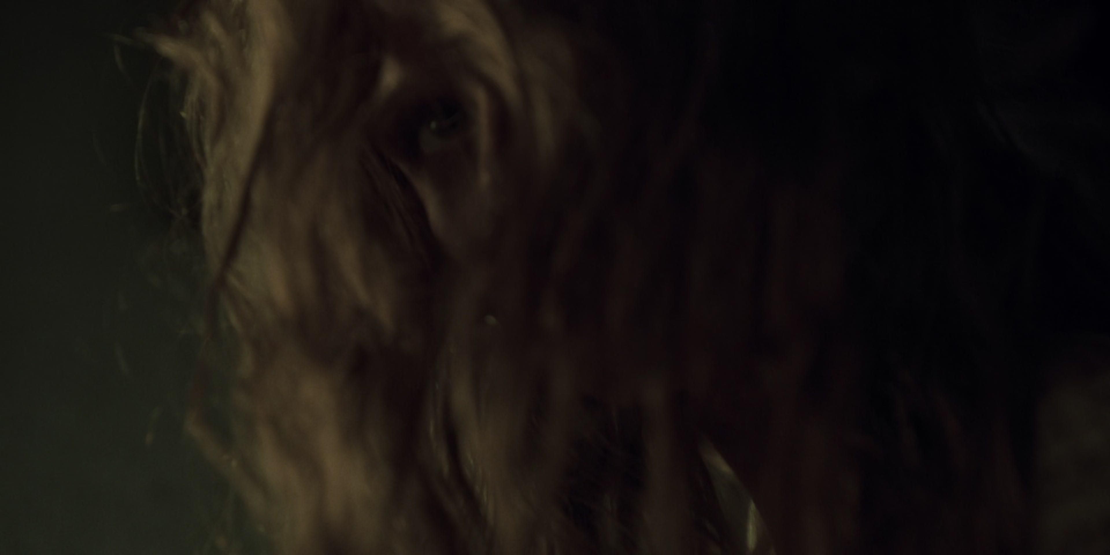 The_Ritual_2025_2160p_4K_ACN_009143.jpg