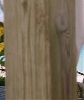 The_Fosters_2013_S05E21_1080p_ACN_001385.jpg