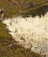 Redeeming_Love_2022_4K_ACN_012961.jpg