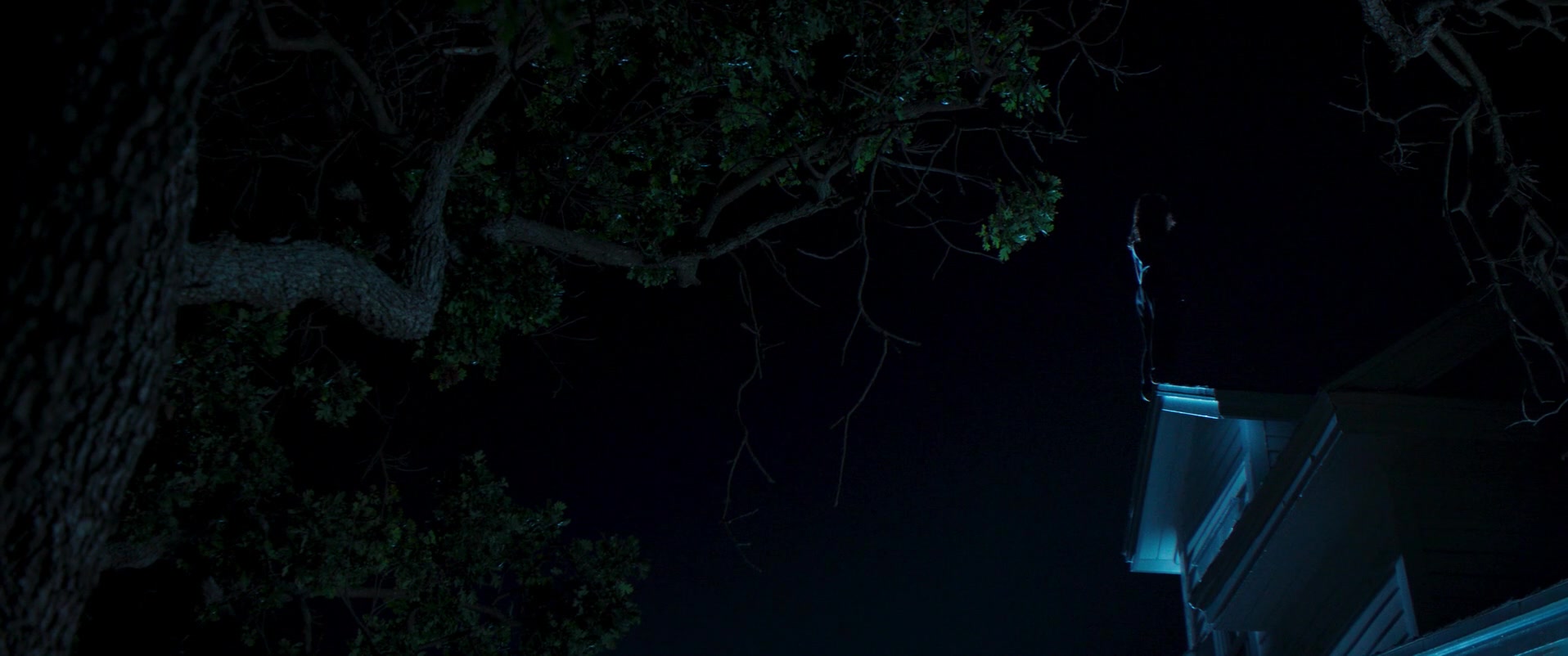 Witch_Hunt_2021_1080p_ACN_010120.jpg