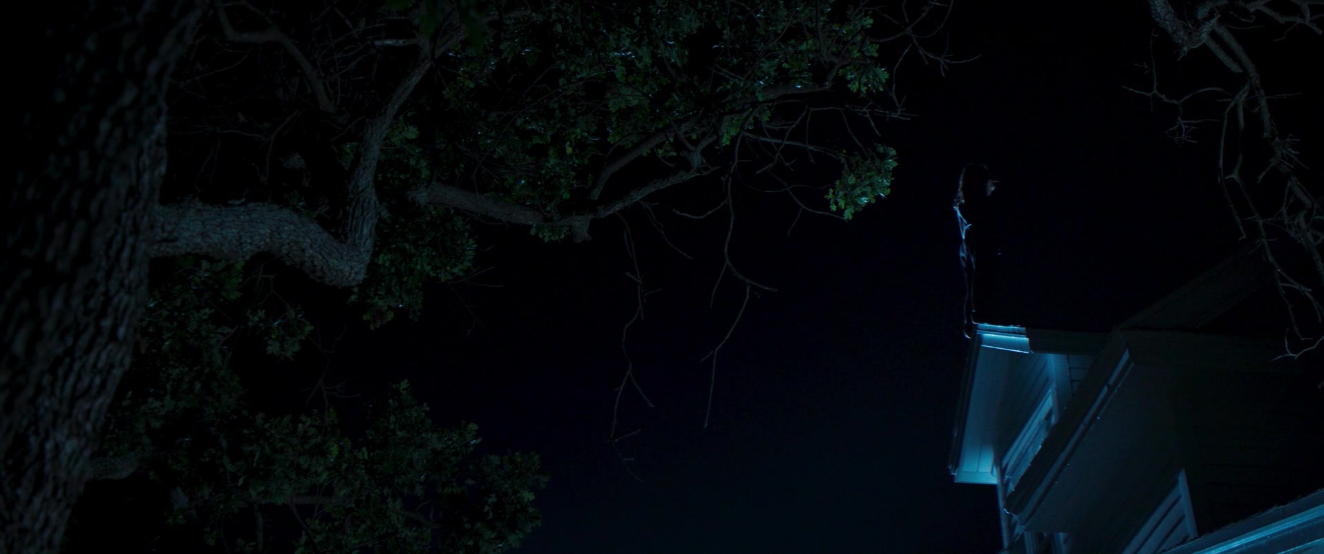 Witch_Hunt_2021_1080p_ACN_010124.jpg
