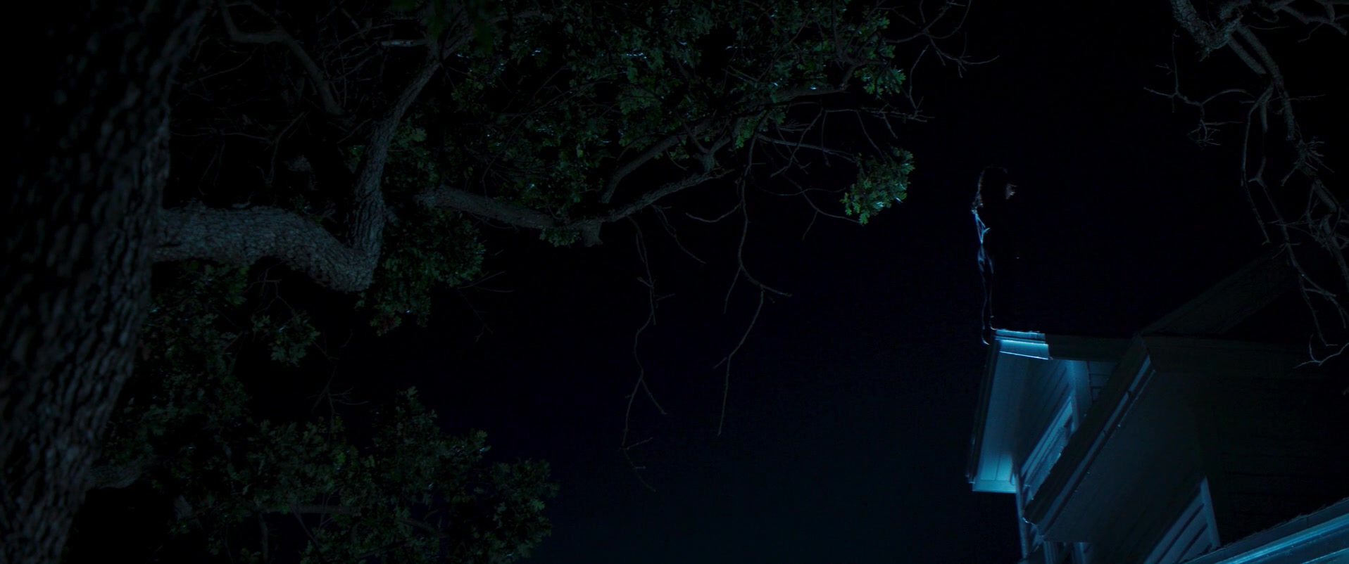 Witch_Hunt_2021_1080p_ACN_010125.jpg