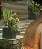 Every_Year_After_S01E06_Plan_B_1080p_003256.jpg
